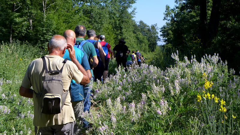 11 - De Serramonacesca a Roccamontepiano