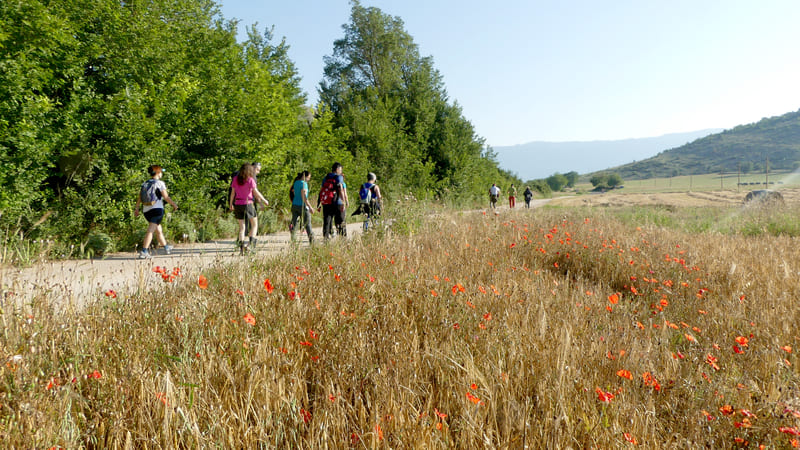 05 - Navelli - Capestrano - Bussi sul Tirino