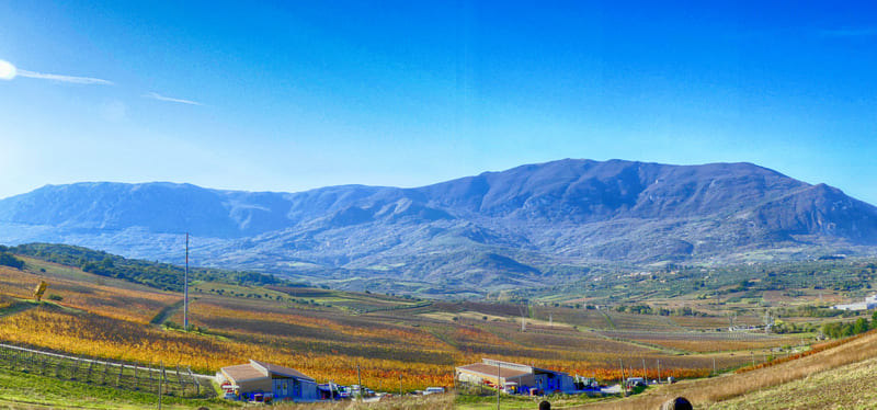 07 - San Clemente a Casauria - Salle