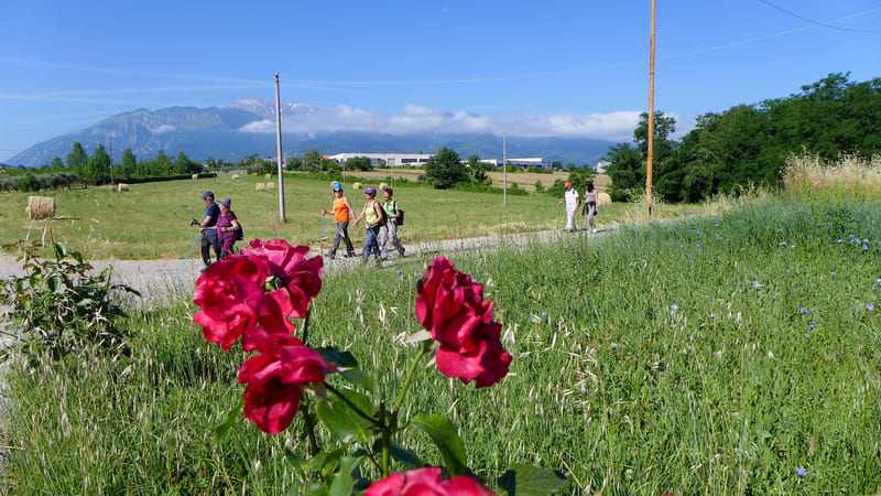 13 bis - Guardiagrele - Orsogna